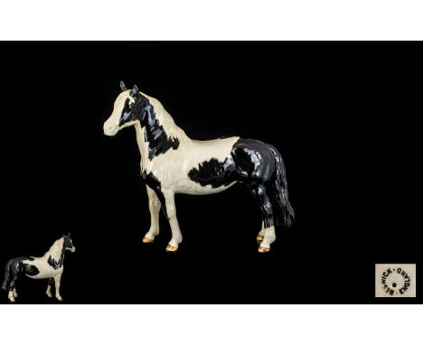 Beswick Horse Figure ' Pinto Pony ' 2nd Version. Model No 1373, Piebald ( Black and White ) Designer A .Gredington. Retired 1