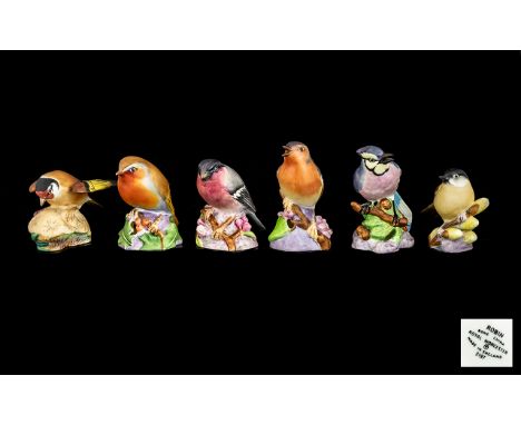 Royal Worcester Bone China Hand Painted Bird Figures ( 6 ) Six In Total. Comprises 1/ Chaffinch 3240. 2/ Robin 3197. 3/ Blue 