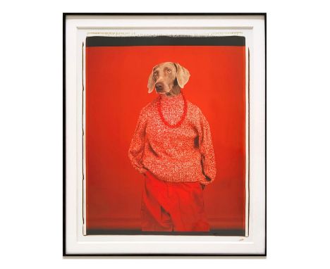 WILLIAM WEGMAN 'Casual', 2002, photoprint from a colour Polaroid, 50cm x 40cm, framed and glazed. 