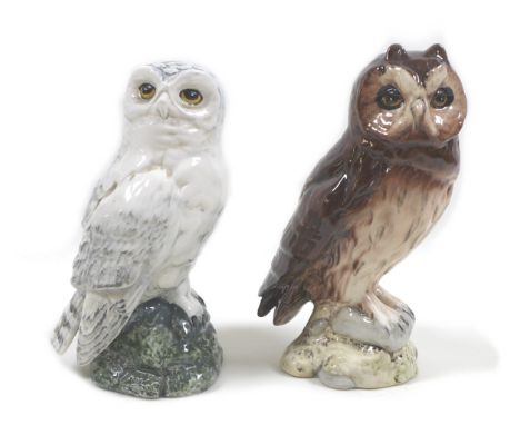 Two Beswick owls, comprising 'Snowy Owl', model 2826, white - gloss, 16.5cm high, and 'Short Eared Owl', model 2825, dark and