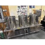Spike Brewing 1 BBL 3-Pot Pilot System with Stainless Steel Table, (2) Pumps and Co | Rig Fee $190