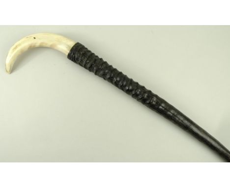 An antelope horn walking stick, fitted with a warthog horn handle, 90cm.