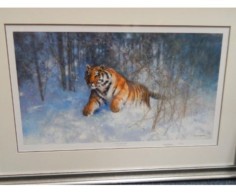After David Shepherd. Tiger, a limited edition print in the snow signed in pencil by the artist, No 62/950 and a limited edit