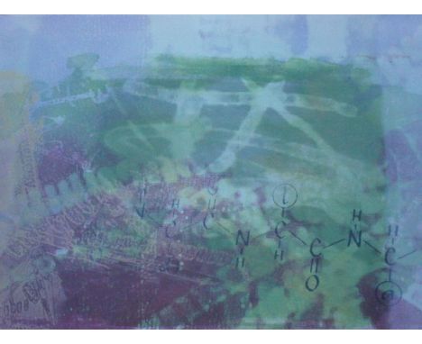 Alastair Clark (b.1968). Food chain, artist signed lithograph print, 35cm x 50cm, and another Cross Pollination 2/5 (2).