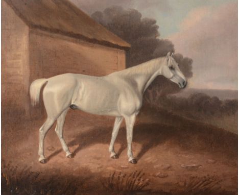 David Dalby (1780-1849) - Portrait of a Grey  Oil on canvas Signed lower left, inscribed on reverse with artist and date, 182