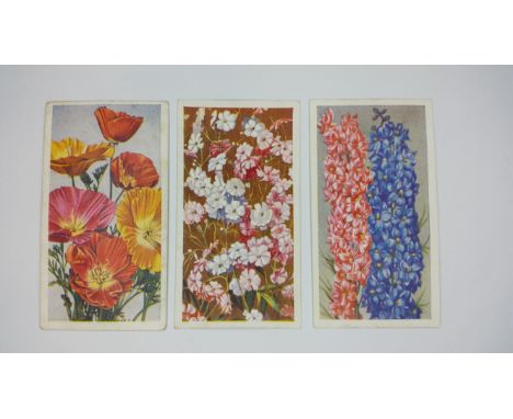 MIXED, part sets &amp; odds, inc. Phillips Annuals, Beauties of To-Day, British Birds &amp; Eggs, British Warships, Character