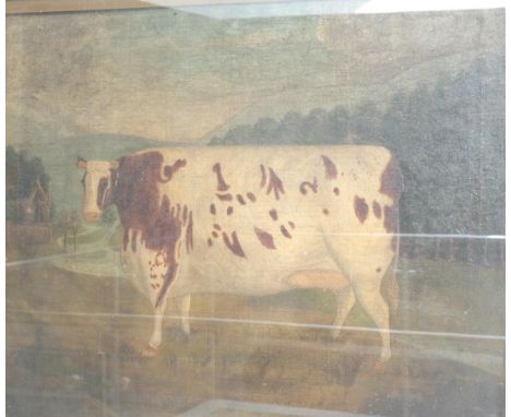 English School (19th century)&nbsp;A primitive portrait of a prize cow, Oil on canvas laid on board, 49cm by 61cm