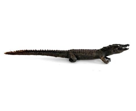 Late Victorian Taxidermy Nile Crocodile with painted glass eyes. approx length: 124cm long. A/F - front arms damaged