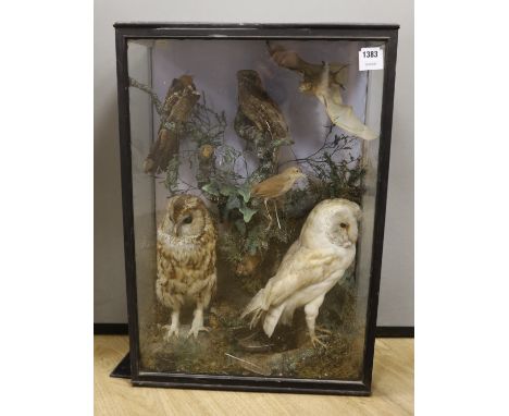 A Victorian cased taxidermy display of birds, by R. Brazenor, 69 x 48cm***CONDITION REPORT***PLEASE NOTE:- Prospective buyers