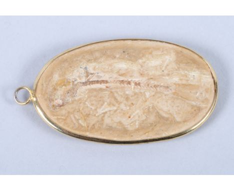 A fossilised fish, set as an oval pendant in an early 20th century yellow metal mount, 2" x 1"Condition:Appears to be in good