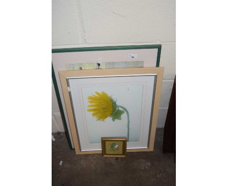 Mixed Lot: Lilian Shaw study of a greenhouse shelf together with a further coloured print of a sunflower and one other