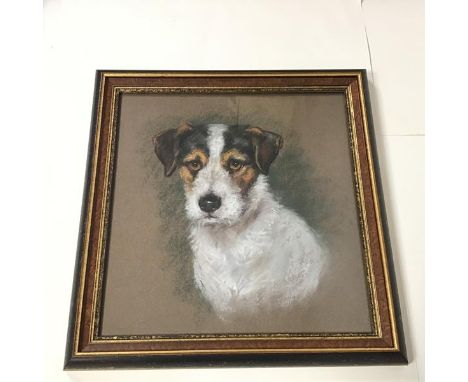 A portrait of a Jack Russell Terrier, pastel (31cm x 30cm)