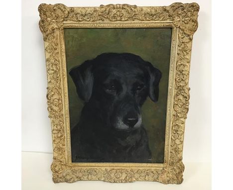 John Murray Thomson RJA&nbsp; (1885-1974) Portrait of a Black Labrador, oil on board, signed bottom left J Murray Thomson (34