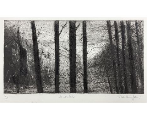 Kane Cunningham (British 1961-): 'Borrowdale', suite of ten artist's proof etchings with aquatint, in progressive states of c