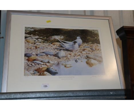 A Terence Lambert, pencil signed limited edition print "Terns"