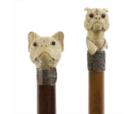 A carved ivory dog's head walking stick, late 19th century, possibly modelled as a French bulldog, with glass eyes and silver