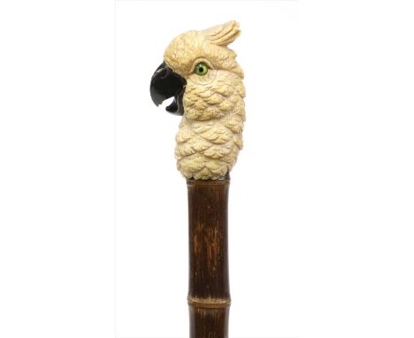 A carved ivory cockatoo head walking stick , late 19th century, with glass eyes, now on a cane shaft , 94cm long