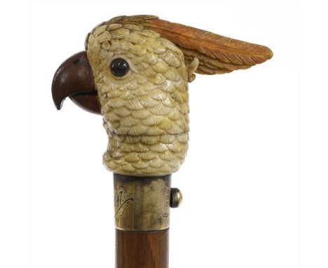 A rare carved and painted ivory cockatoo automaton walking stick, late 19th century, the silver collar with activation button