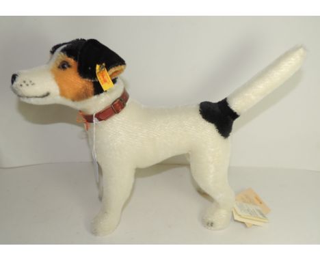 A modern Steiff toy Fox Terrier, with plush covering, label and button in ear, leather collar and original labels attached to
