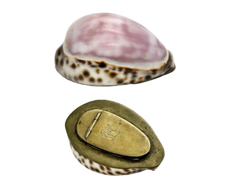 A Late 18th/Early 19th Century cowrie shell snuff box. 8x5x3.5cm 