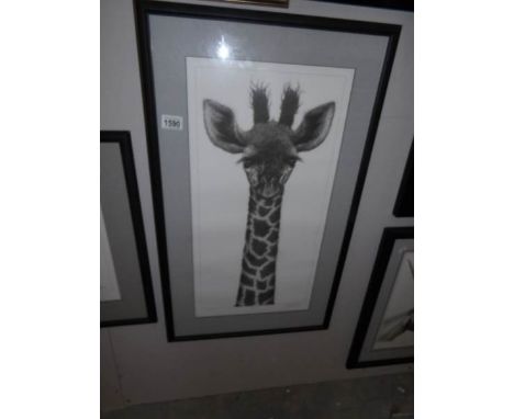A framed and glazed limited edition print of a giraffe by Gary Hodges, signed
