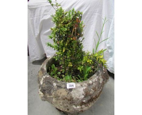 A concrete garden planter
