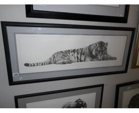 A framed and glazed limited edition print 'Supreme Siberian Tiger' by Gary Hodges, signed