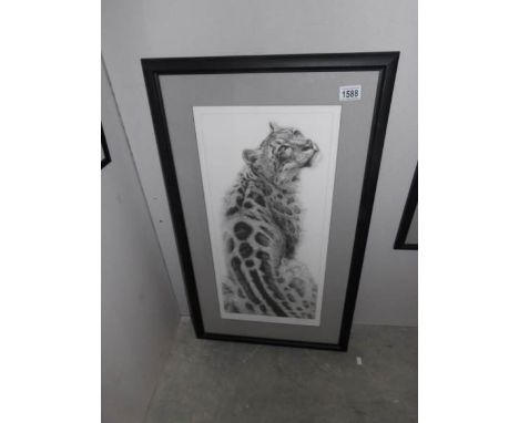A framed and glazed limited edition print entitled 'Sabu' by Gary Hodges, signed