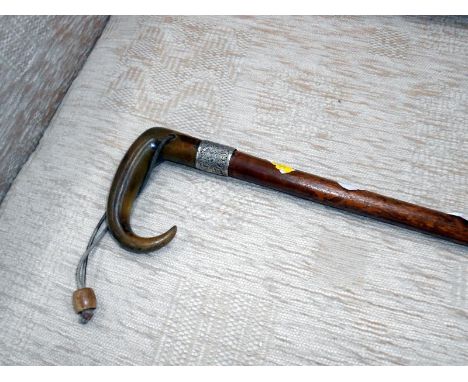 A walking stick with horn handle and silver collar
