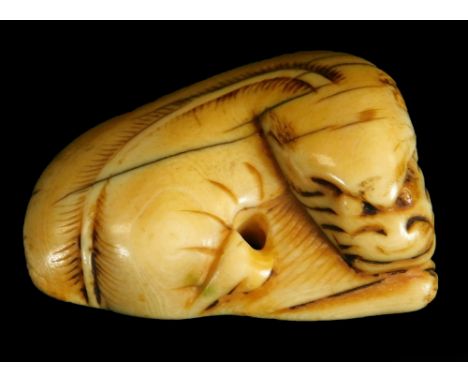 A Japanese Meiji period ivory netsuke, of a tiger, signed, 4cm W.