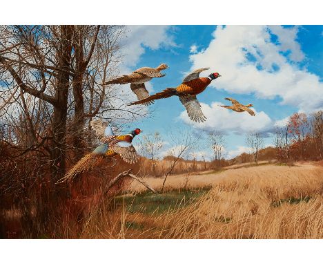 David A. Maass (American, b. 1929). Oil on Masonite painting titled "Tomahawk Trail: Pheasants" depicting pheasants taking fl