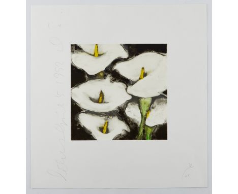 Donald Sultan (American, b. 1951). Serigraph on paper titled "Lilies," depicting a group of white calla lilies against a dark