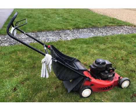 A Lawn King NG464 petrol driven lawn mower with Briggs &amp; Stratton 35 Classic petrol engine, together with a Bosch AMR32F 