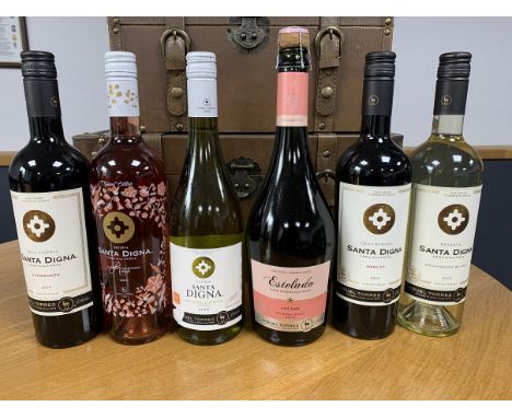 6 Bottle Case New World Wine - A selection of 6 new world wines from Chile showcased in the “Santa Digna Case” from Miguel To