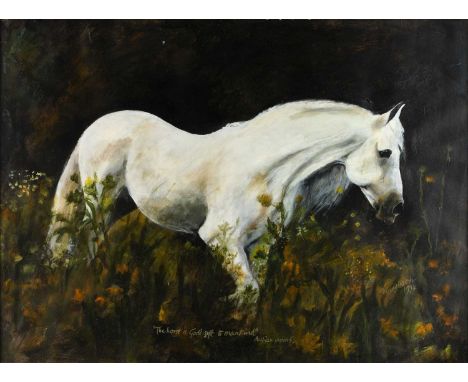 Shirley Hirsch (Contemporary)"The Horse is God's Gift to Mankind"Signed, inscribed and dated 1994, acrylic, together with a h
