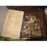 PRIVATE MUSEUM of SHELLS, MINERALS, etc., contained in a mahogany box with trays (1 tray full), with