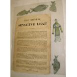THE CHINESE SENSITIVE LEAF, small printed broadside with three & a half 'sensitive' fish and a