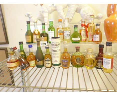 17 x assorted miniatures, Whisky or Cognac, inclduing XO Remy Martian, 10 year old Laphroaig, 