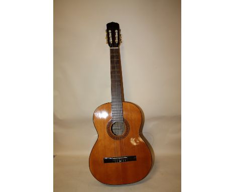 A TENADA ACOUSTIC GUITAR MODEL No: C103 IN CARRY CASE A/F