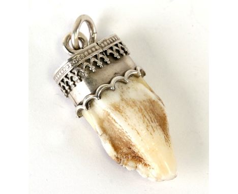 A Bavarian Charivari hunting trophy pendant with an incisor.