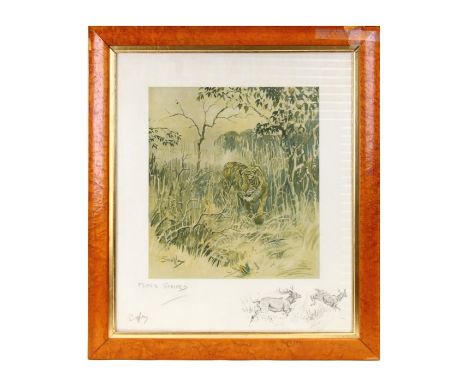 After Snaffles - Mr Stripes - print, signed in pencil to the margin, framed in a maple frame &amp; glazed, image size 32 by 3