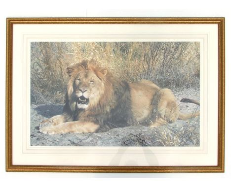 Carl Brenders - Kalahari - limited edition print, framed &amp; glazed.