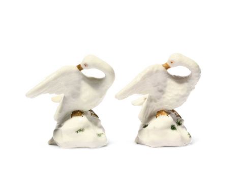 Two Capodimonte figures of swans, c.1748-55, modelled by Giuseppe Gricci, each preening its right wing with its beak, raised 
