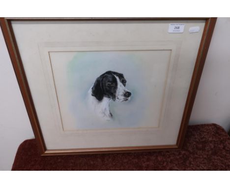Watercolour portrait of a black and white Pointer 'Doriene' 