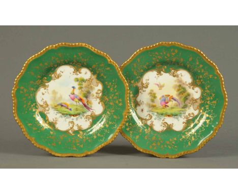 A pair of Royal Worcester exotic bird plates, with green ground and gilding and signed "Johnson".  Diameter 9.25 ins. 