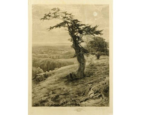 After Frank Walton, signed etching, tree in landscape.  25 ins x 18 ins.