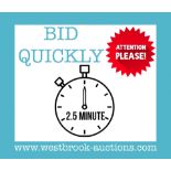 BID QUICKLY, LOTS WILL BE ENDING EVERY 2.5 MINUTES AT THIS AUCTION!