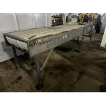 Conveyor Straight 3' x 13' Motorized 230/460v