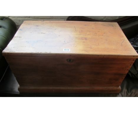 A pine trunk