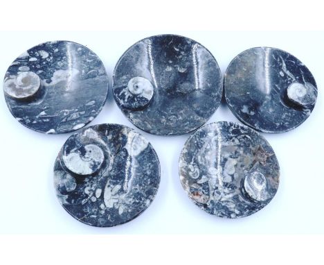 Five polished ammonite specimen circular trays, largest D: 13 cm. P&amp;P Group 1 (£14+VAT for the first lot and £1+VAT for s
